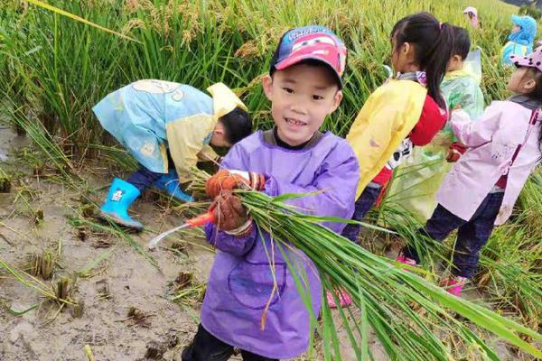 我國固體廢物與化學(xué)品  環(huán)境治理能力大幅提升