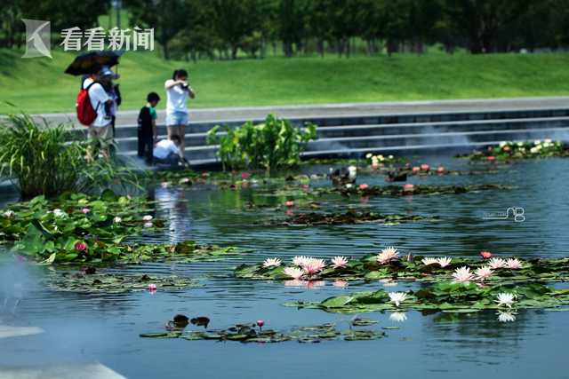 巴黎奧運這些名場面，背后都有“中國造”