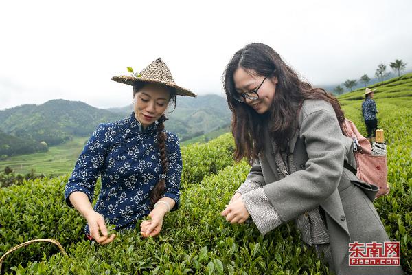 牡丹花開(kāi)引游人