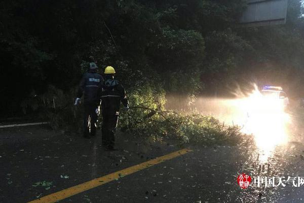 全運奪金比亞運難    廣東游泳薪火相傳