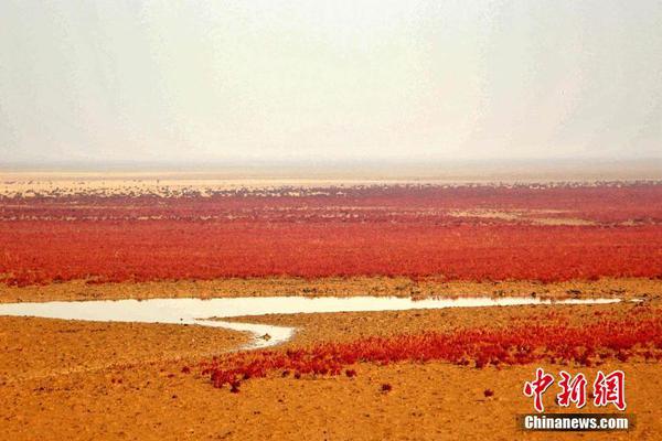 從“不懂球的胖子”，到“劉三體”，劉國梁的口碑是如何急轉(zhuǎn)直下的？