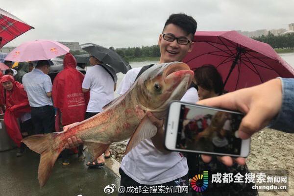 工業(yè)固廢變身新型建材