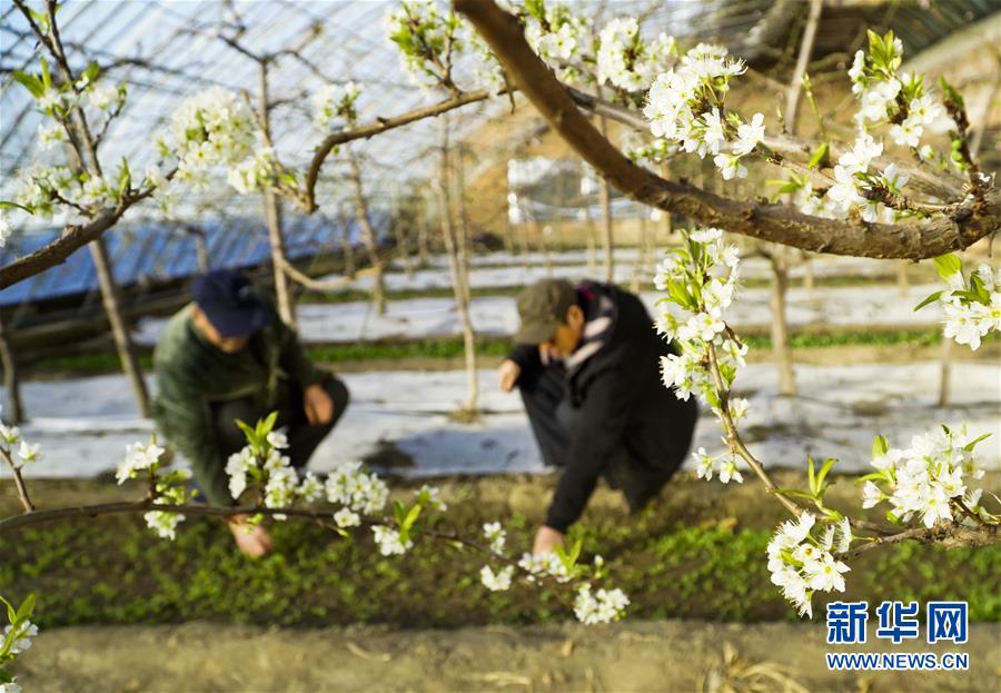 神舟十八號(hào)航天員乘組平安抵京