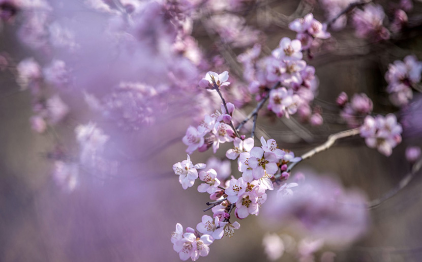 正好侃球丨中國(guó)對(duì)陣日本球票開(kāi)售 山東球迷這次或減少規(guī)模