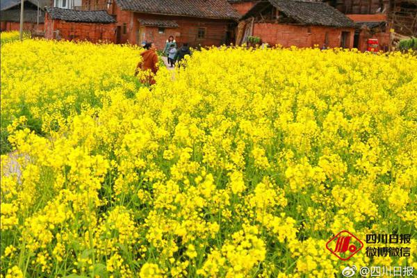 山東無棣：微工廠助民創(chuàng)富增收