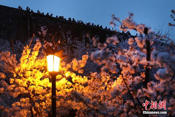 城市商圈的“小候鳥”夏令營