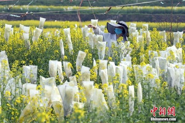 西藏定日6.8級地震已記錄到余震活動超1000次