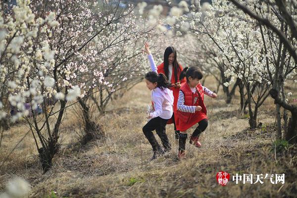 蘇翊鳴回應“世界杯比賽排名墊底”：我不是一個怕失敗的人