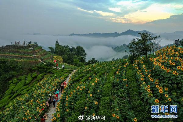 黑芝麻智能攜手Nullmax發(fā)布A2000多模態(tài)大模型智駕方案