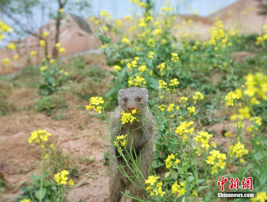 傳承非遺 巧手繡出致富路