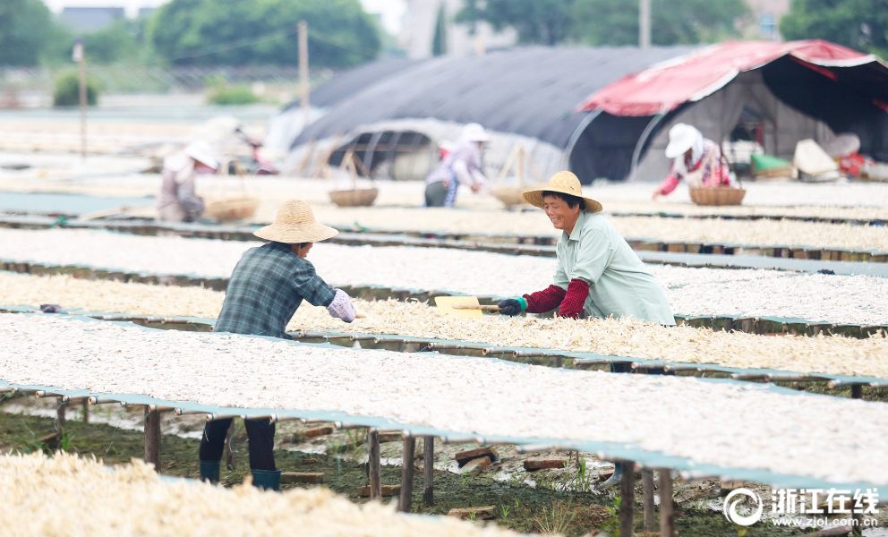 里程碑！孫銘徽總搶斷數(shù)超李楠升至歷史第17 身前是前隊友劉錚