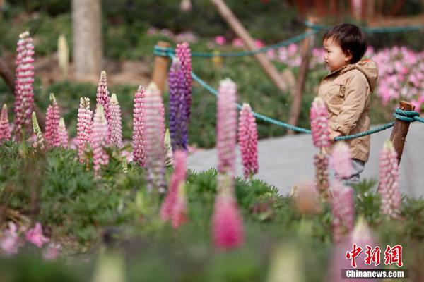 魯梅尼格：拜仁不會買斷庫蒂尼奧 現(xiàn)在無法支付巨額資金