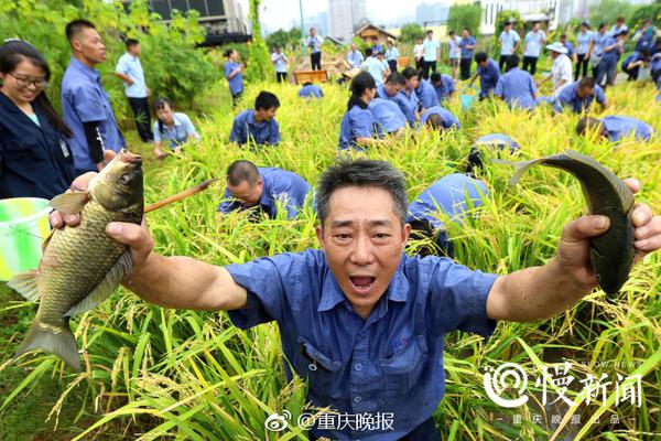 球員和教練生涯均獲歐冠有多難？僅7人做到，瓜帥上榜，安帥奪7冠