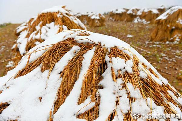 ??太陽三巨頭本賽季薪水149265791美元 比黃蜂全隊(duì)加起來還高