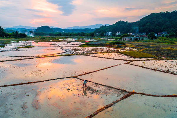 國(guó)家體育總局排球運(yùn)動(dòng)管理中心原主任李全強(qiáng)被查