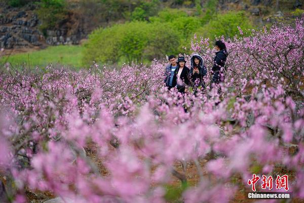 WTT福岡總決賽今日賽程：孫穎莎王楚欽單打出戰(zhàn)