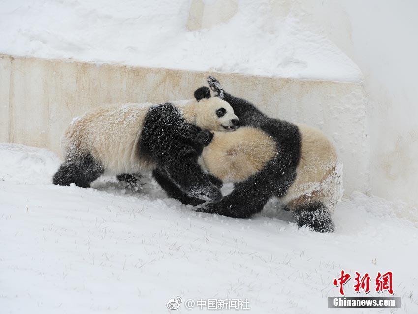 神舟十八號航天員乘組平安抵京