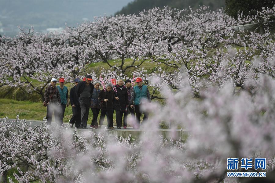 KD：欣賞老板和管理層做的努力 他們讓球員處在取得成功的位置