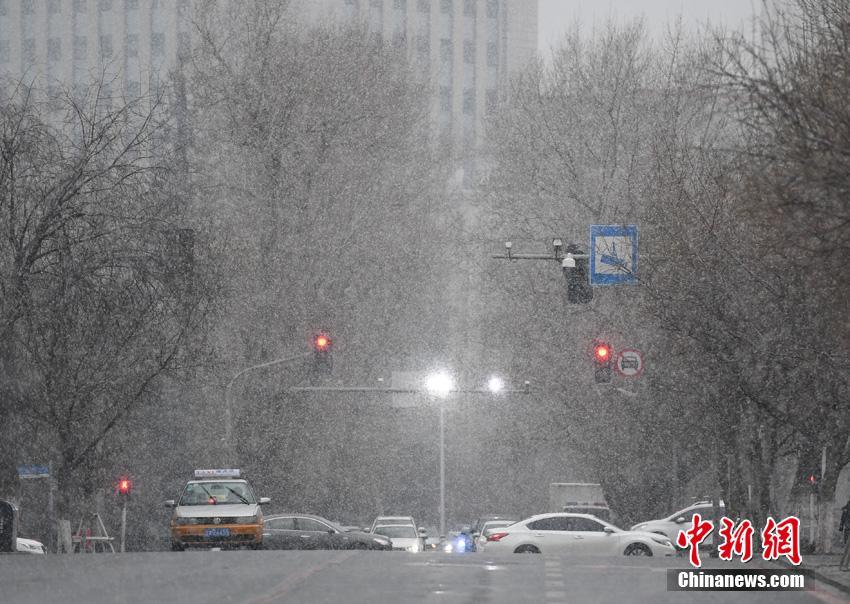 寧夏首個“數(shù)智零碳”電力物資倉庫建成投用