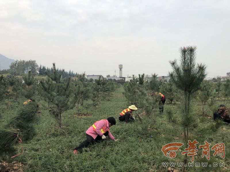 國產(chǎn)大飛機C919首次搭載旅客飛抵三亞