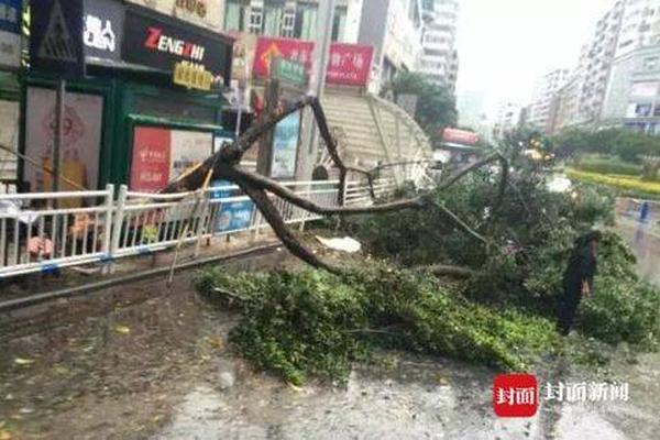 貴州岑鞏：雜交水稻制種“趕花”忙