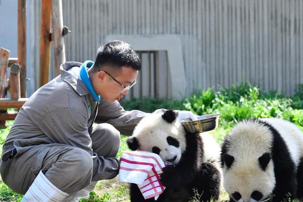 萊奧：米蘭下一次奪冠無需再等兩年半，我夢想贏得歐冠和金球獎