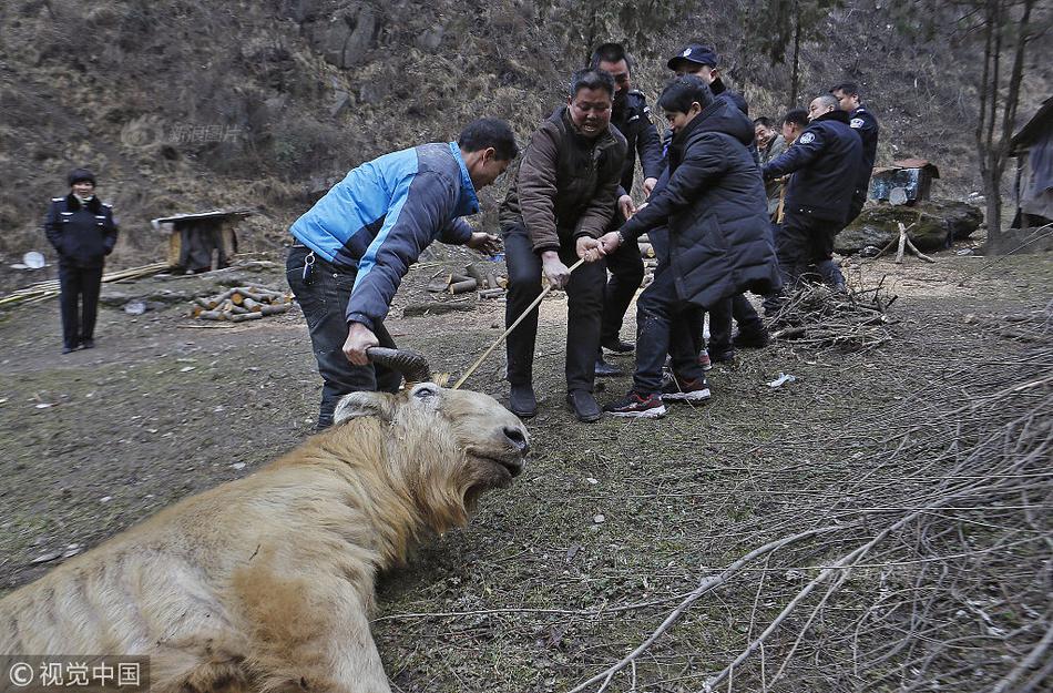 下載萬(wàn)合足球山貓足球直播免費(fèi)足球競(jìng)猜賽果