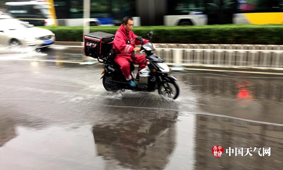 河北灤南：西瓜采摘忙