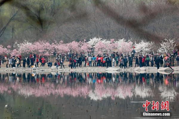 天空體育：拜仁、皇馬和曼聯(lián)關注哈弗茨，但很難出價1億歐