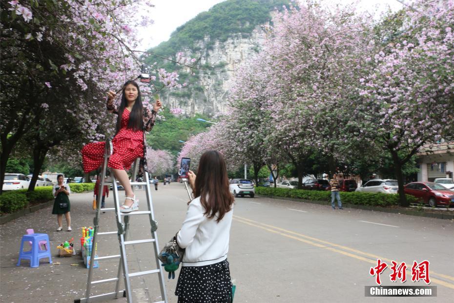 投資科創(chuàng)板有了普惠工具云南大學旅游文化學院教務管理