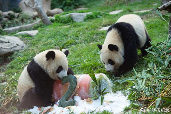 WTT成都混團世界杯今日賽程：國乒將迎戰(zhàn)美國隊