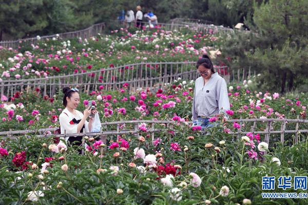 抖音會(huì)是韓妝最后一根“救命稻草”嗎？