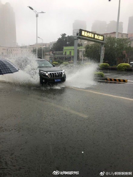 高鐵“香港熊貓專列”出發(fā)了