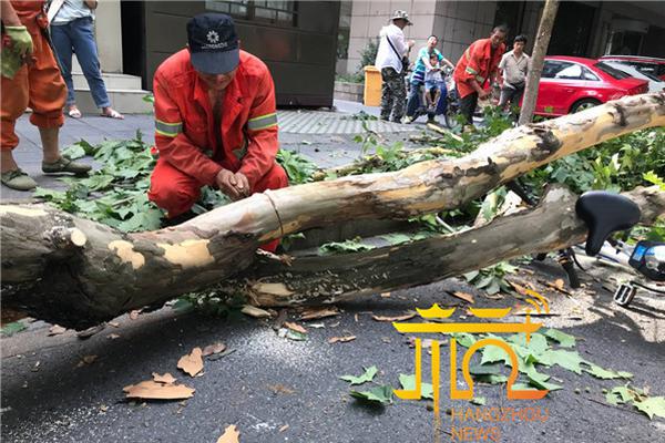 西部排名又變了：火箭創(chuàng)NBA奇跡，掘金收大禮，2隊(duì)排名互換