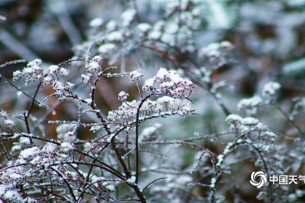 浙江：防御臺風(fēng)“杜蘇芮” 漁船進港避風(fēng)