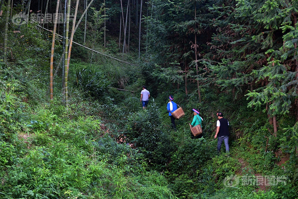 德甲各隊(duì)真假目標(biāo)大揭秘：爭(zhēng)冠群聊人數(shù)已達(dá)上限 拜仁還頂?shù)米? /></a>
            <p>
              <a href=