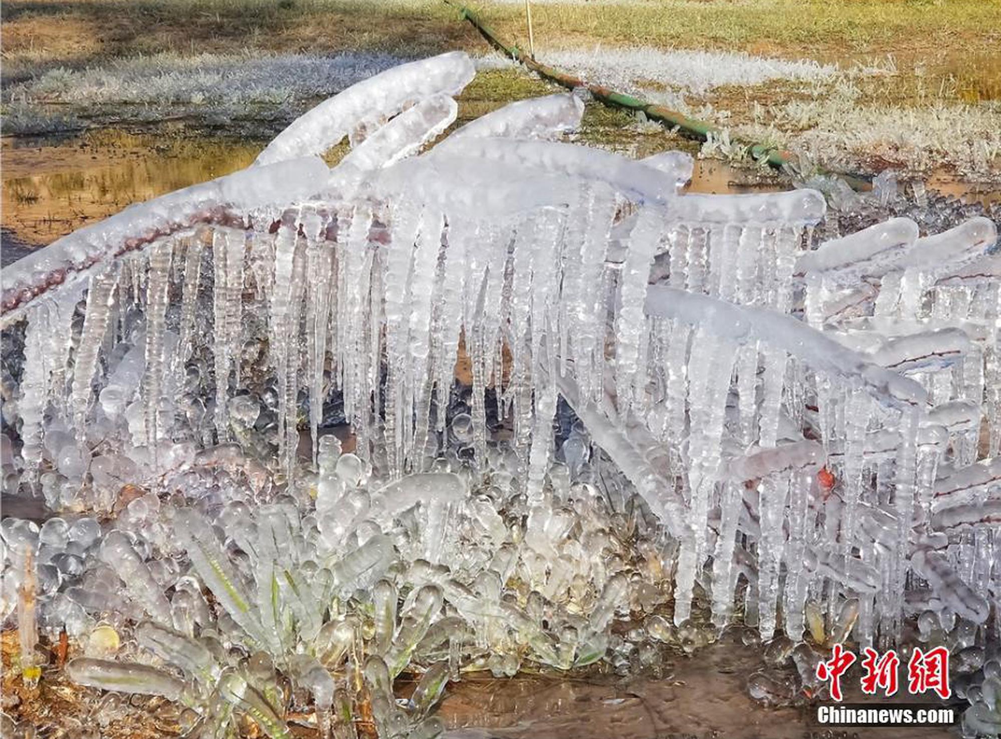 古特雷斯將前往黎巴嫩 會見黎總統(tǒng)并訪問聯(lián)黎部隊