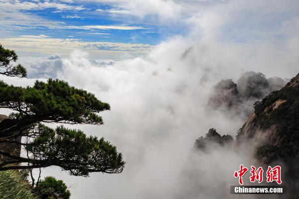 題材和體裁的區(qū)別文體委員是干啥的！文體娛樂器材有哪些