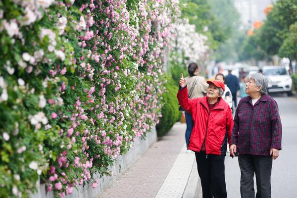 運(yùn)動會新聞稿怎么寫本站