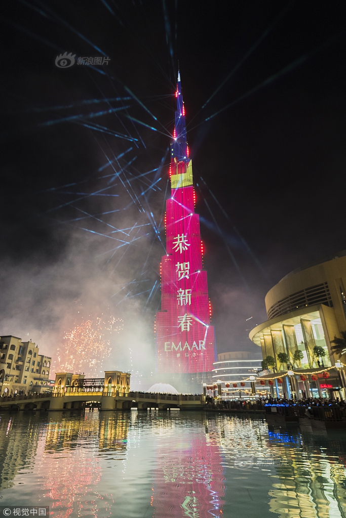 候鳥飛抵渾河過冬