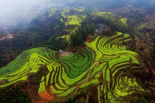 馬塔：曼聯(lián)有望保持足壇頂尖地位，他們擁有才華橫溢的年輕球員