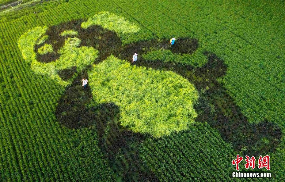 高新技術(shù)動(dòng)能澎湃 中國(guó)經(jīng)濟(jì)“新”意十足