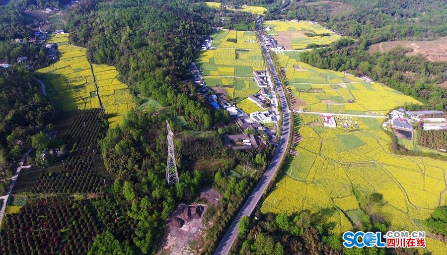 太陽或組巴特勒+KD組合？巴克利看衰：老將不會(huì)變好 只會(huì)變老