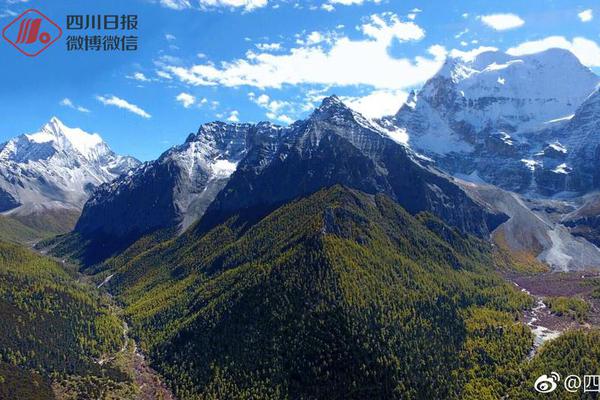 口紅售價(jià)近千元，歐萊雅前高管創(chuàng)立的這個(gè)彩妝品牌申請(qǐng)破產(chǎn)