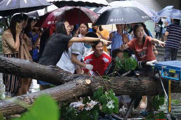 潘秋生辭職，上海家化迎“林小海時代”