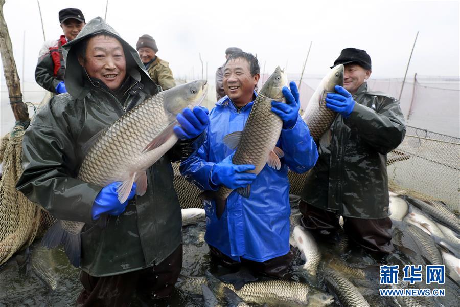 5000萬鎊！曼城欲求購法蘭克福18+11射手 兩特質(zhì)可在英超大放異彩