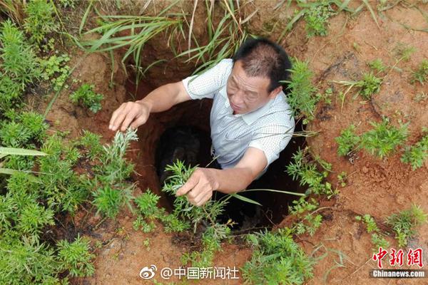 向蕭敬騰“求雨”、找辣目洋子逆襲，佰草集新營銷轉(zhuǎn)型有看點